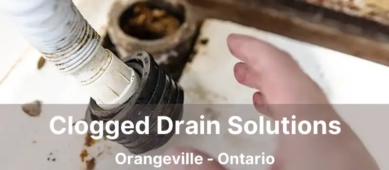  Clogged Drain Solutions Orangeville - Ontario