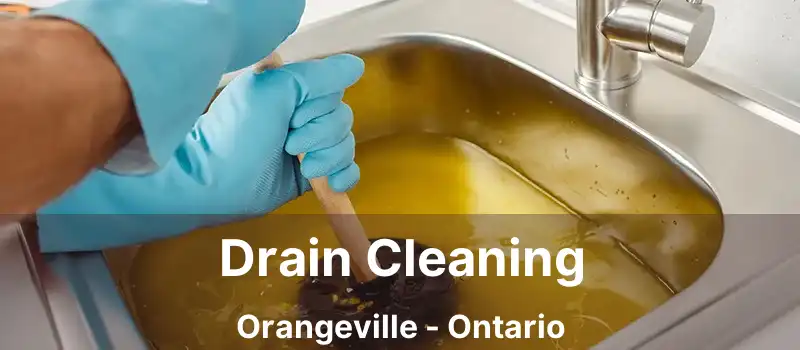  Drain Cleaning Orangeville - Ontario