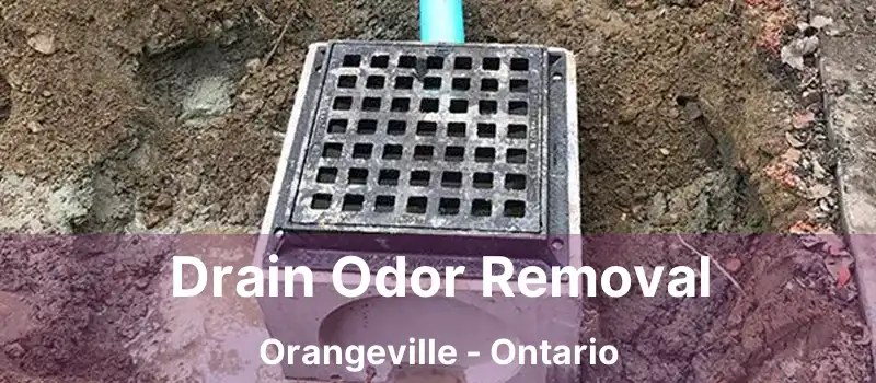  Drain Odor Removal Orangeville - Ontario