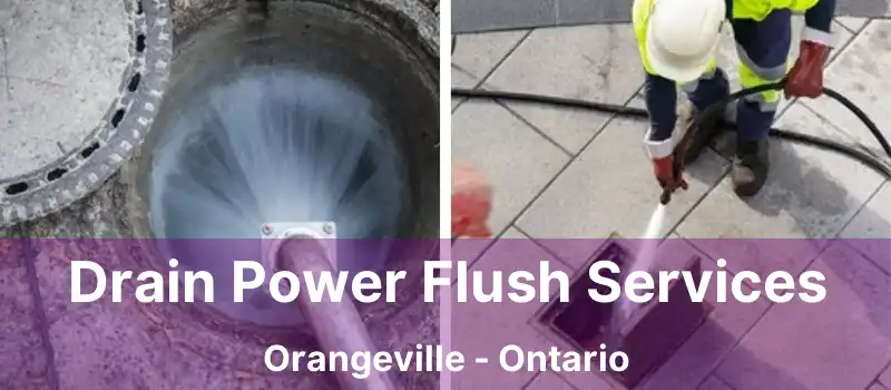  Drain Power Flush Services Orangeville - Ontario